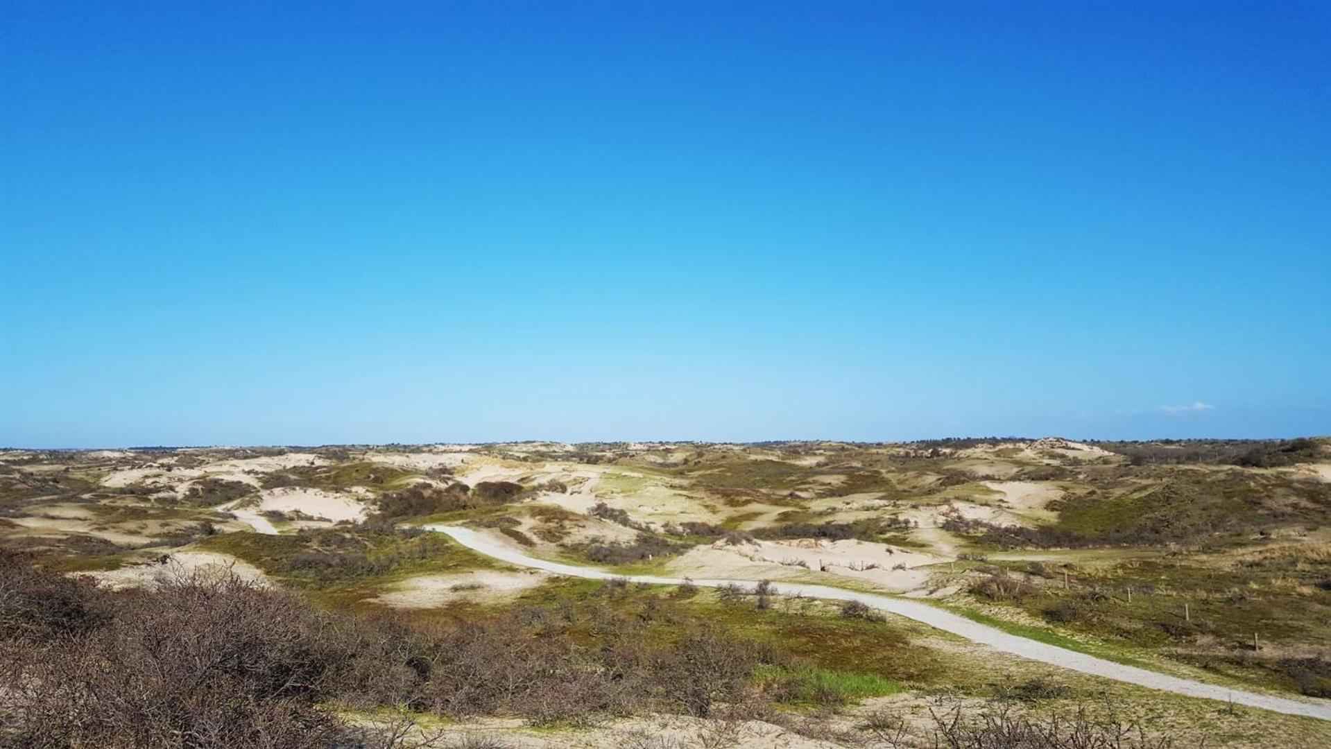 Bamboe Suite Bentveld Met Ligbad En Gratis Parkeren Extérieur photo
